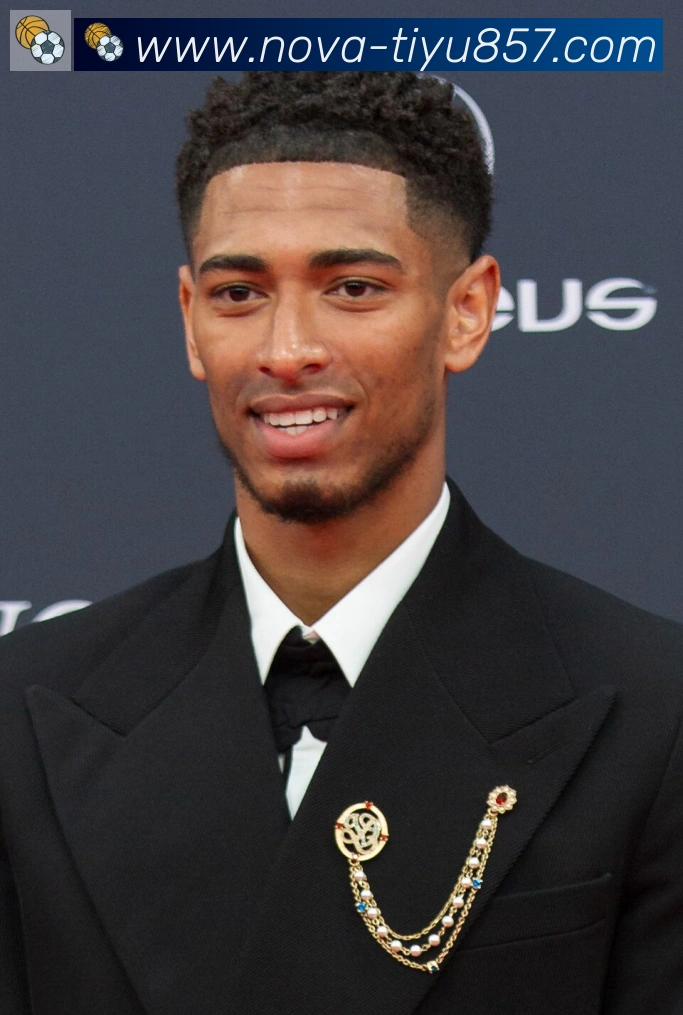 维尼修斯